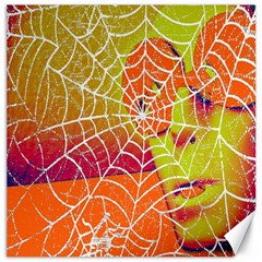 Orange Guy Spider Web Canvas 12  X 12   by Nexatart