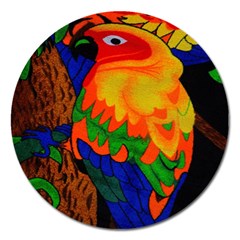 Parakeet Colorful Bird Animal Magnet 5  (round)