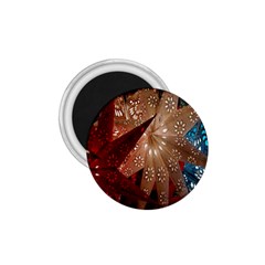Poinsettia Red Blue White 1.75  Magnets