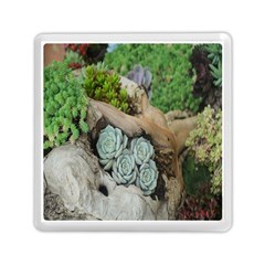 Plant Succulent Plants Flower Wood Memory Card Reader (square) 