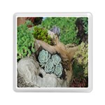 Plant Succulent Plants Flower Wood Memory Card Reader (Square)  Front