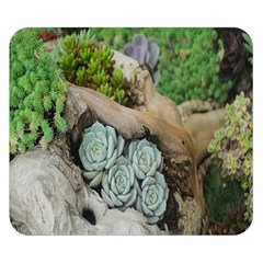 Plant Succulent Plants Flower Wood Double Sided Flano Blanket (small)  by Nexatart