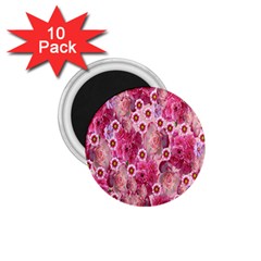 Roses Flowers Rose Blooms Nature 1.75  Magnets (10 pack) 