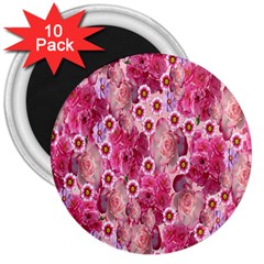 Roses Flowers Rose Blooms Nature 3  Magnets (10 pack) 