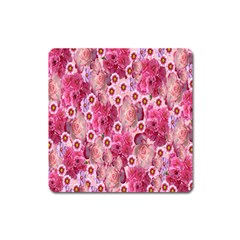 Roses Flowers Rose Blooms Nature Square Magnet