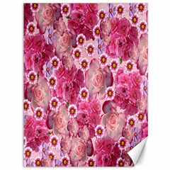 Roses Flowers Rose Blooms Nature Canvas 36  x 48  