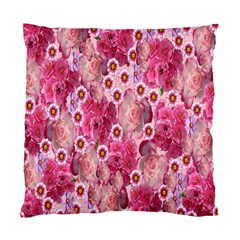 Roses Flowers Rose Blooms Nature Standard Cushion Case (Two Sides)