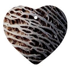 Seed Worn Lines Close Macro Heart Ornament (two Sides) by Nexatart