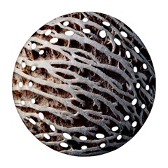 Seed Worn Lines Close Macro Round Filigree Ornament (two Sides)