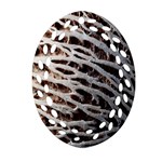 Seed Worn Lines Close Macro Oval Filigree Ornament (Two Sides) Front