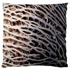 Seed Worn Lines Close Macro Standard Flano Cushion Case (two Sides) by Nexatart