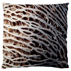 Seed Worn Lines Close Macro Large Flano Cushion Case (two Sides)