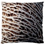 Seed Worn Lines Close Macro Large Flano Cushion Case (Two Sides) Front