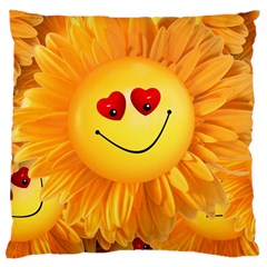 Smiley Joy Heart Love Smile Large Cushion Case (two Sides)