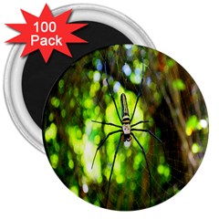 Spider Spiders Web Spider Web 3  Magnets (100 Pack) by Nexatart