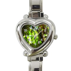 Spider Spiders Web Spider Web Heart Italian Charm Watch by Nexatart