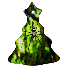 Spider Spiders Web Spider Web Ornament (christmas Tree)  by Nexatart