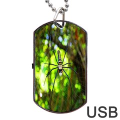 Spider Spiders Web Spider Web Dog Tag Usb Flash (two Sides) by Nexatart