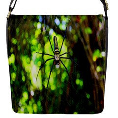 Spider Spiders Web Spider Web Flap Messenger Bag (s) by Nexatart