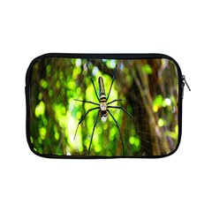 Spider Spiders Web Spider Web Apple Ipad Mini Zipper Cases by Nexatart