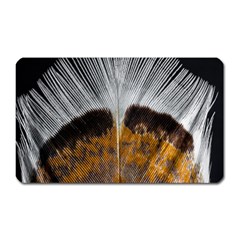 Spring Bird Feather Turkey Feather Magnet (rectangular) by Nexatart