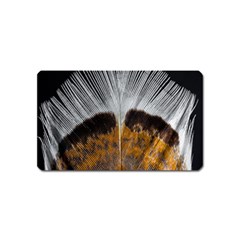 Spring Bird Feather Turkey Feather Magnet (name Card) by Nexatart