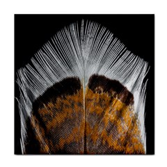 Spring Bird Feather Turkey Feather Face Towel by Nexatart