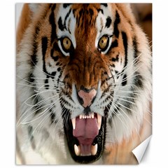 Tiger  Canvas 8  X 10 
