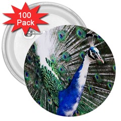 Animal Photography Peacock Bird 3  Buttons (100 Pack)  by Amaryn4rt