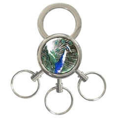 Animal Photography Peacock Bird 3-ring Key Chains by Amaryn4rt