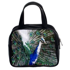 Animal Photography Peacock Bird Classic Handbags (2 Sides) by Amaryn4rt