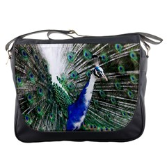 Animal Photography Peacock Bird Messenger Bags