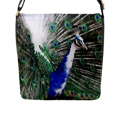 Animal Photography Peacock Bird Flap Messenger Bag (l)  by Amaryn4rt