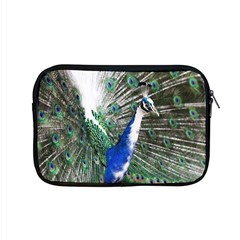 Animal Photography Peacock Bird Apple Macbook Pro 15  Zipper Case by Amaryn4rt