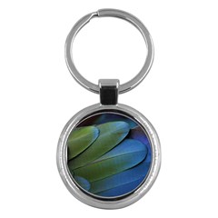 Feather Parrot Colorful Metalic Key Chains (round)  by Amaryn4rt