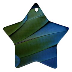 Feather Parrot Colorful Metalic Star Ornament (two Sides)