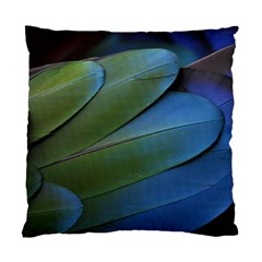 Feather Parrot Colorful Metalic Standard Cushion Case (two Sides)