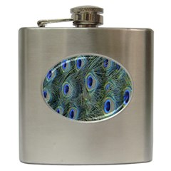 Peacock Feathers Blue Bird Nature Hip Flask (6 Oz) by Amaryn4rt