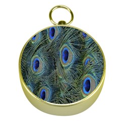 Peacock Feathers Blue Bird Nature Gold Compasses by Amaryn4rt