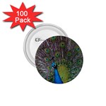 Peacock Feather Beat Rad Blue 1.75  Buttons (100 pack)  Front