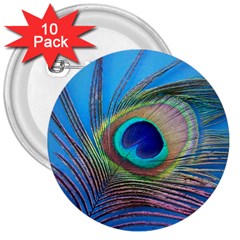 Peacock Feather Blue Green Bright 3  Buttons (10 pack) 