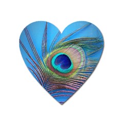 Peacock Feather Blue Green Bright Heart Magnet