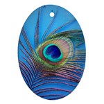 Peacock Feather Blue Green Bright Oval Ornament (Two Sides) Back