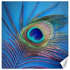 Peacock Feather Blue Green Bright Canvas 20  x 20  