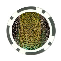 Peacock Bird Feather Gold Blue Brown Poker Chip Card Guard