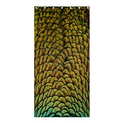 Peacock Bird Feather Gold Blue Brown Shower Curtain 36  X 72  (stall) 