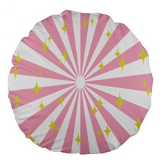 Star Pink Hole Hurak Large 18  Premium Flano Round Cushions