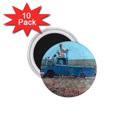 Goats On A Pickup Truck 1 75  Magnets (10 Pack)  by digitaldivadesigns
