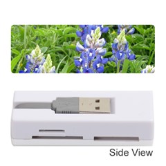 Blue Bonnets Memory Card Reader (stick) 