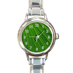 Green Lines Macro Pattern Round Italian Charm Watch by Amaryn4rt